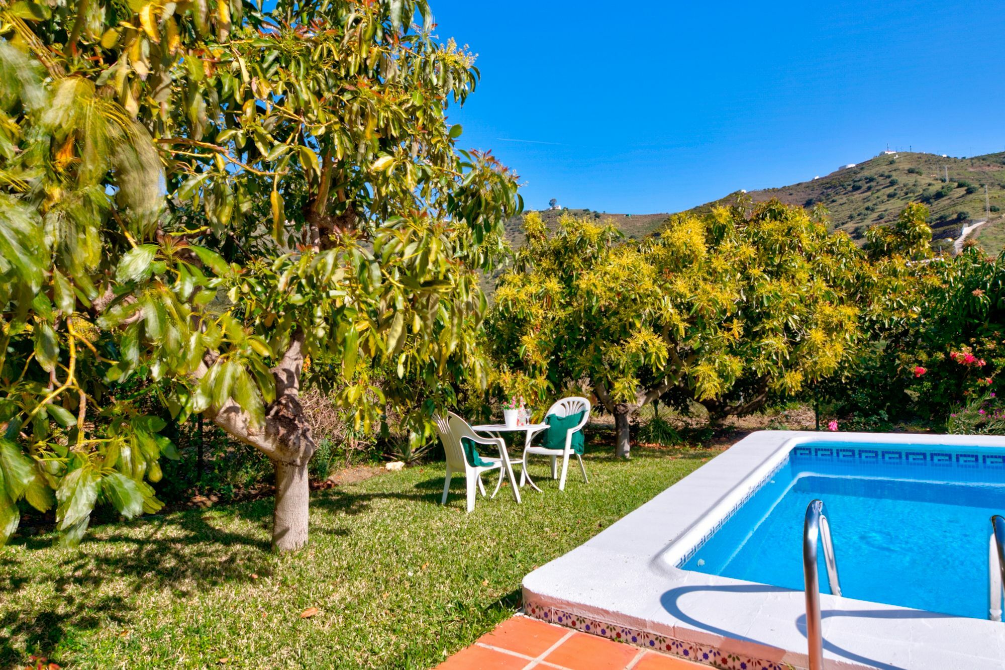 Villa Grillo Torrox Bagian luar foto