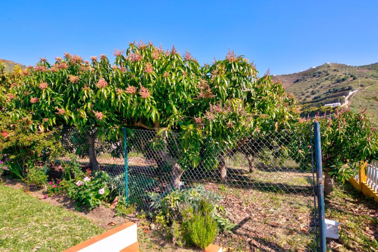 Villa Grillo Torrox Bagian luar foto